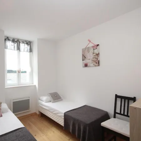 Duplex T3 En Centre-ville Avec Wi-fi Et Animaux Admis - Fr-1-608-26