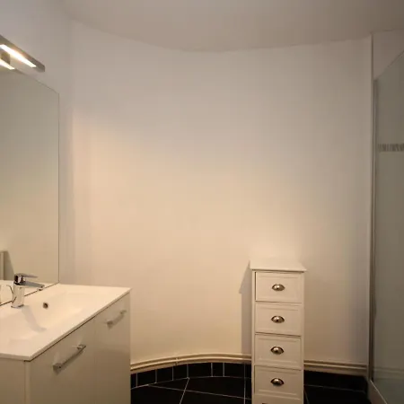 Apartament Duplex T3 En Centre-ville Avec Wi-fi Et Animaux Admis - Fr-1-608-26