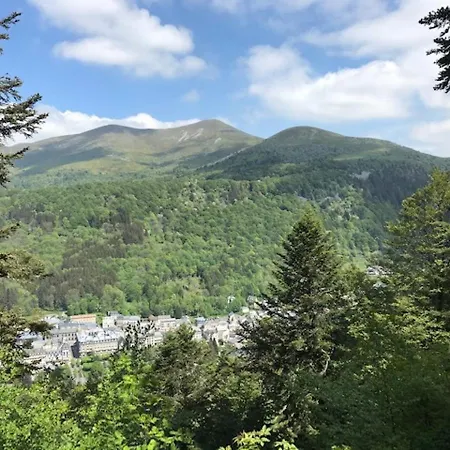 Duplex T3 En Centre-ville Avec Wi-fi Et Animaux Admis - Fr-1-608-26 Le Mont-Dore