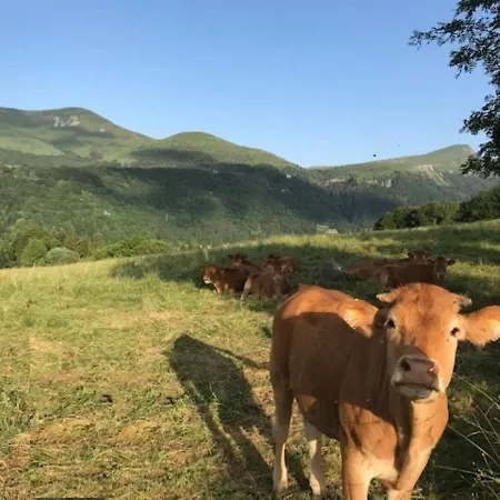 公寓 Duplex T3 En Centre-ville Avec Wi-fi Et Animaux Admis - Fr-1-608-26