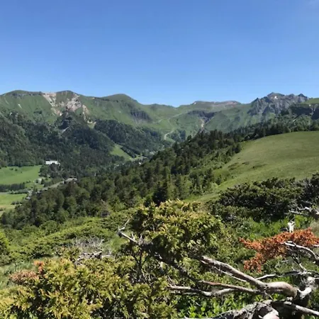 Duplex T3 En Centre-ville Avec Wi-fi Et Animaux Admis - Fr-1-608-26 勒蒙多尔