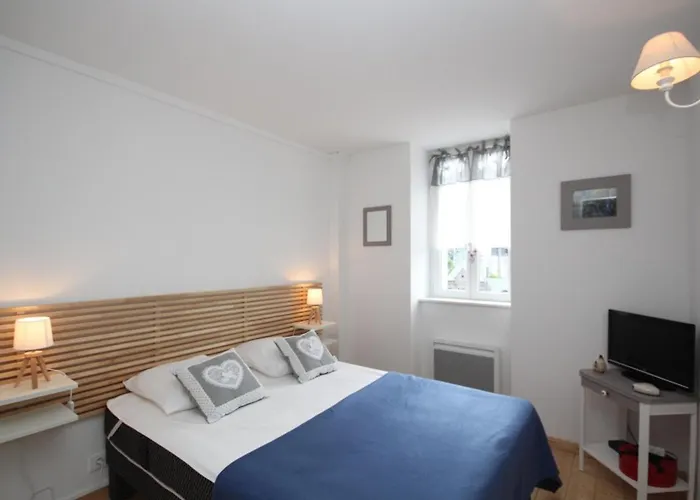 Duplex T3 En Centre-ville Avec Wi-fi Et Animaux Admis - Fr-1-608-26 Apartment *