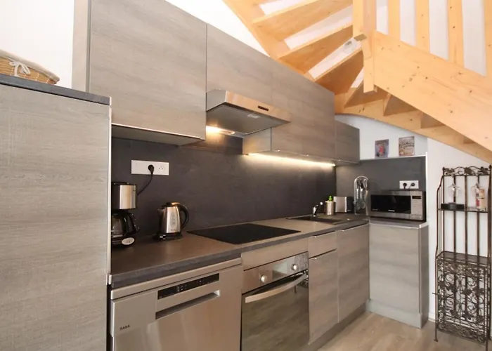 Apartment Duplex T3 En Centre-ville Avec Wi-fi Et Animaux Admis - Fr-1-608-26 Le Mont-Dore