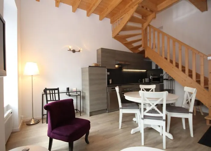 Duplex T3 En Centre-ville Avec Wi-fi Et Animaux Admis - Fr-1-608-26 Le Mont-Dore