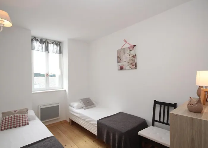 Duplex T3 En Centre-ville Avec Wi-fi Et Animaux Admis - Fr-1-608-26
