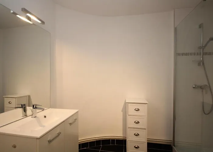 Apartment Duplex T3 En Centre-ville Avec Wi-fi Et Animaux Admis - Fr-1-608-26