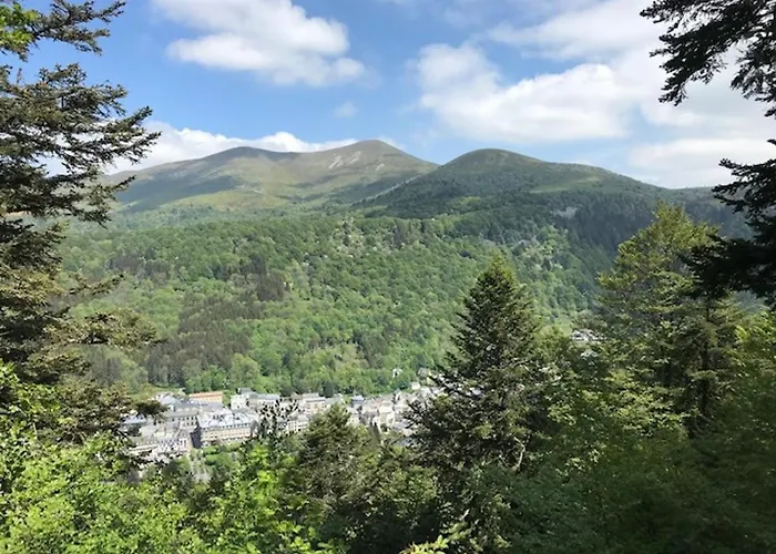 Duplex T3 En Centre-ville Avec Wi-fi Et Animaux Admis - Fr-1-608-26 Le Mont-Dore