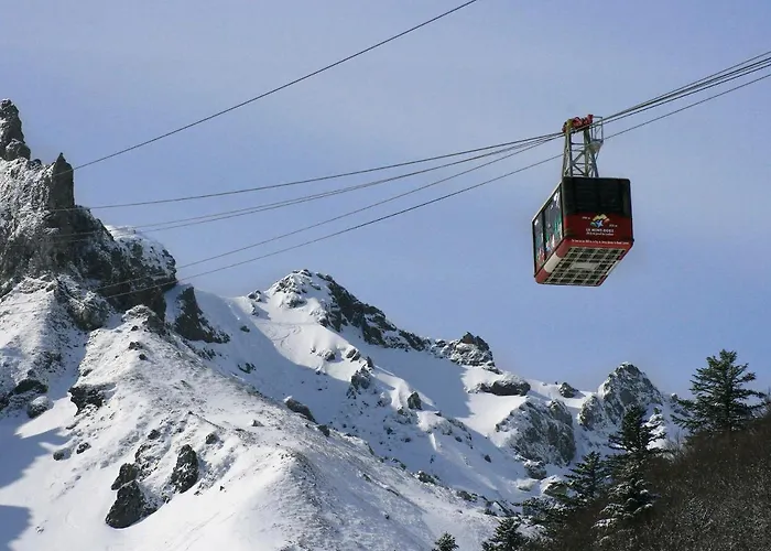 Apartment Duplex T3 En Centre-ville Avec Wi-fi Et Animaux Admis - Fr-1-608-26