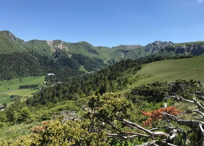 Duplex T3 En Centre-ville Avec Wi-fi Et Animaux Admis - Fr-1-608-26 Le Mont-Dore